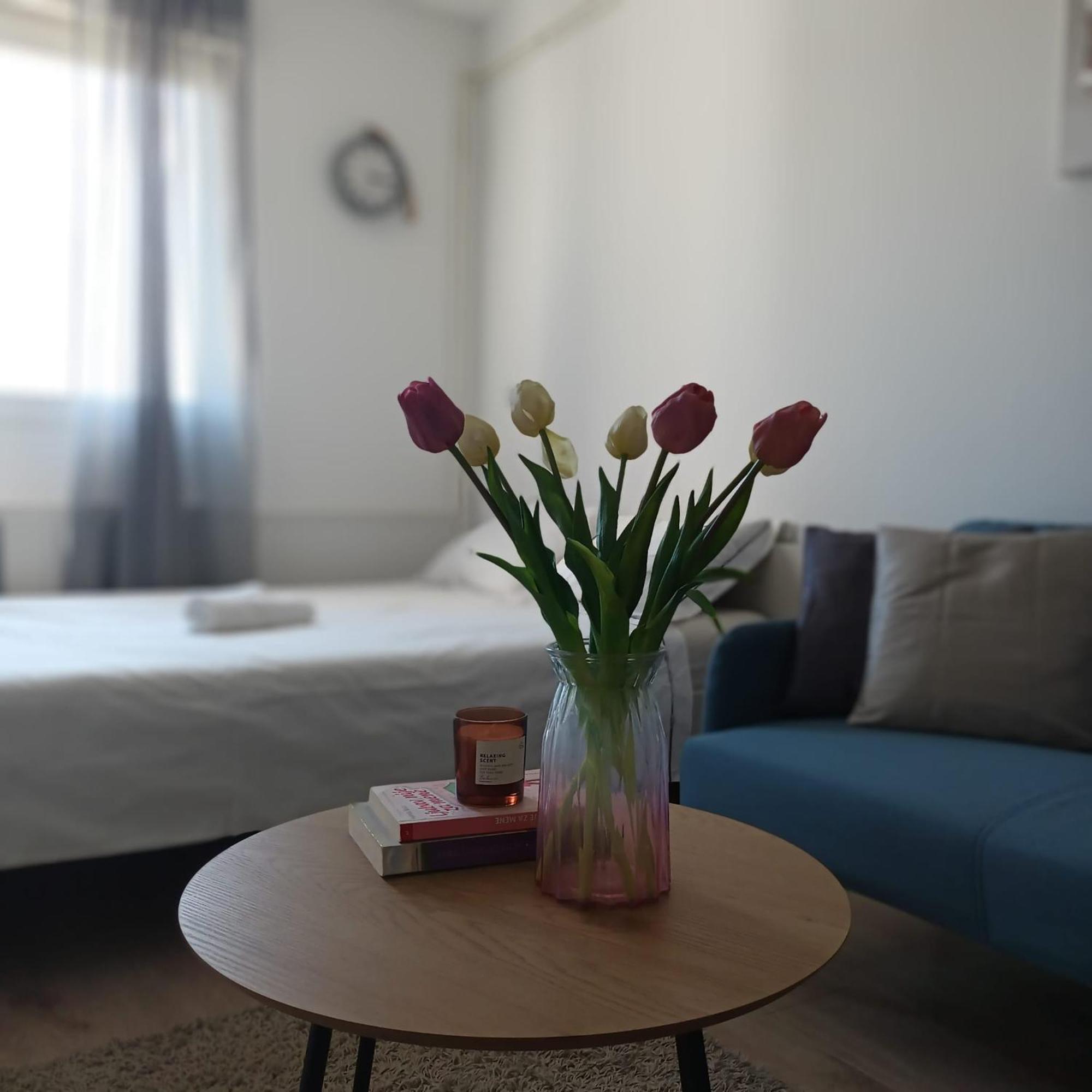 Modern Studio Near City Center 자그레브 외부 사진