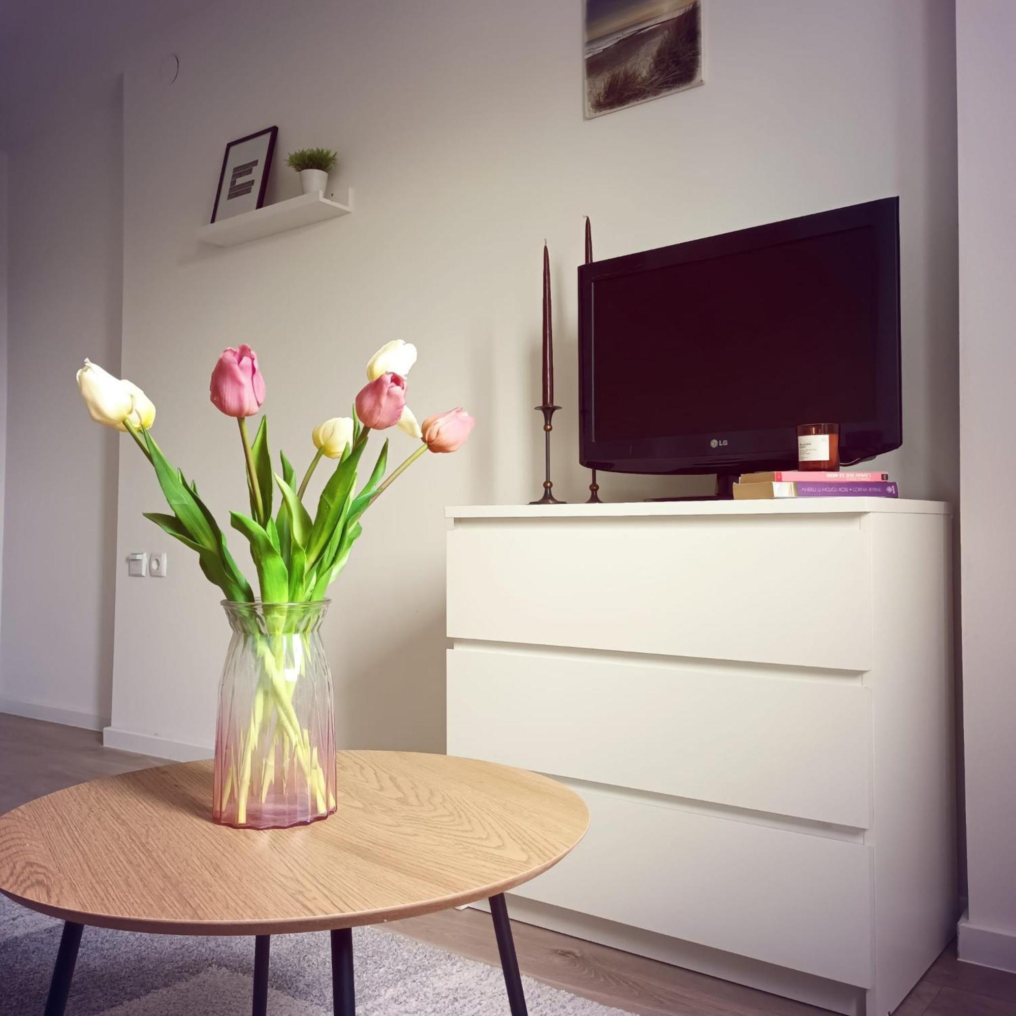 Modern Studio Near City Center 자그레브 외부 사진